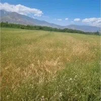 زمین|فروش زمین و ملک کلنگی|کشکسرای, |دیوار