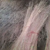 جارو کشاورزی