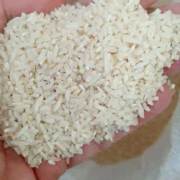 لاشه هاشمی|خوردنی و آشامیدنی|رشت, استقامت ۲|دیوار
