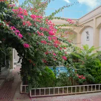 خدمات باغبانی و درختکاری