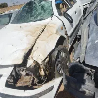 سمند تصادفی