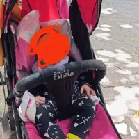 کالسکه صندلی غذا کریر