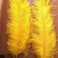 پر علامت زرد درجه یک