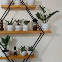 دکوراسیون گل و مجسمه شیک|کتابخانه، شلف، قفسه‌های دیواری|کنگاور, |دیوار