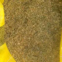 کاه عدس گندم و تفاله چغندرو جو بندر