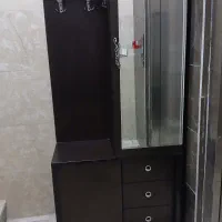 جاکفشی ایستاده