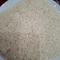 برنج محلی فجر درجه یک