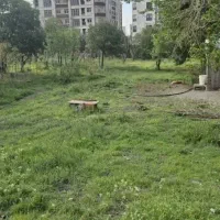 زمین ۳۰۷ متر/ویودار