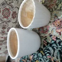 گلدان