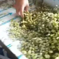 دستگاه آب گوجه گیری دستگاه آبلیمو و آبغوره گیری|فروشگاه و مغازه|شیراز, احمدی جنوبی|دیوار