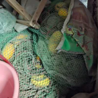 وسایل صیادی