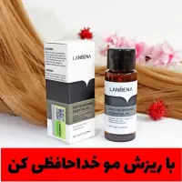 روغن رفع کچلی میخوای کچل نشی بزن|آرایشی، بهداشتی، درمانی|بومهن, |دیوار