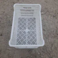 تولیدی سبد ۲۰ کیلویی