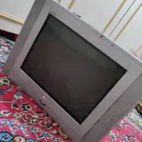 تلویزون