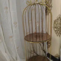 استند