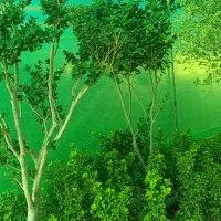 نهال،خاک گلدان،درختچه، مرکبات ،خاک برگ|خدمات باغبانی و درختکاری|شیراز, تل حسینآباد|دیوار