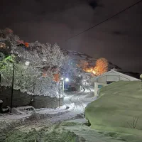 فروش زمین ویلایی|فروش زمین و ملک کلنگی|لواسان, |دیوار