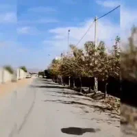 رهن کامل کارگاه یاانباردر کمربندی