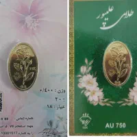 آموزش علمی وعملی ساخت وفروش طلا