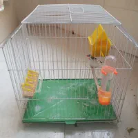 جفت فنچ|پرنده|تهران, منیریه|دیوار