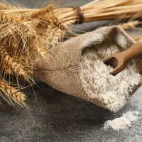 تعدادی کارگر ساده خانم آقا +بیمه و مزایا نیازمندیم|استخدام صنعتی، فنی، مهندسی|مشهد, شهرک صنعتی توس|دیوار