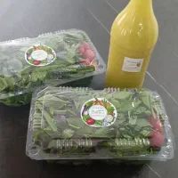 سبزیجات آماده مامان پز|خوردنی و آشامیدنی|مشهد, نرگس (شهرک غرب)|دیوار