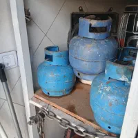 تعدادی پیک نیک