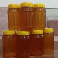 زنبور عسل وعسل