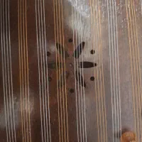 سنتور استاد عبدالرضا مدنی