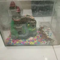 آکواریوم باپمپ|ماهی|تهران, جیحون|دیوار