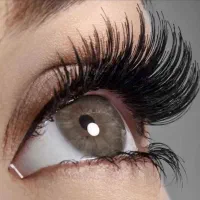 آموزش آرایشگری رایگان در عوضکارورزی رایگان در سالن