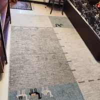 گبه ساوین در حد نو