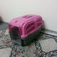 باکس  بزرگ سگ و گربه نو