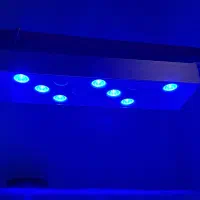 فروش یک نور اب شور