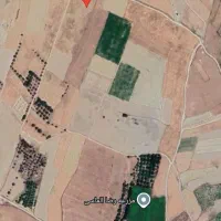 زمین کشاورزی