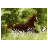 نخ و نقشه حیوانات مدل اسب 26005