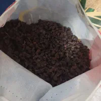 کشمش بیدانه افتابی|خوردنی و آشامیدنی|محمدیه-قزوین, |دیوار