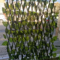 آکاردئون برگی