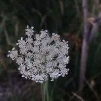 راهنمایی کنید مدرسه غیر انتفاعی