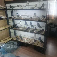 دکور اماده قفسه میز صندلی