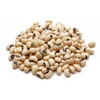 لوبیا چشم بلبلی یا  (ماک )