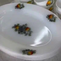 سرویس گل میوه فرانسوی|ظروف سرو و پذیرایی|نطنز, |دیوار