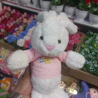 تخفیف ویژه عروسک.|اسباب‌‌بازی|مشهد, چهنو|دیوار