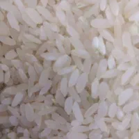 فروش برنج کامفیروزی درجه یک خانیمن|خوردنی و آشامیدنی|کر, |دیوار