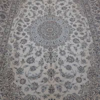 ۶متری نایین کرم گل ابریشم