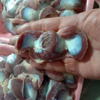 فروش سنگدان مرغ،