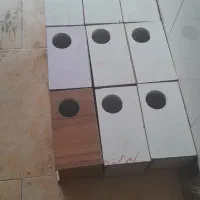 لانه عروس هلندی