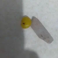 جواهر ناب مختلف خاص ویژه