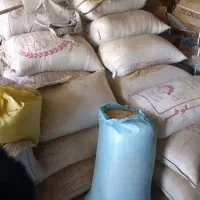 جو دیم|گل و گیاه طبیعی|بروجرد, |دیوار