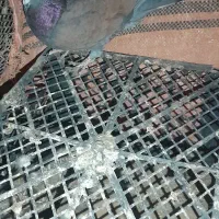 فروش ۳تا تهرانی|پرنده|دهلران, |دیوار